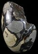 Polished Septarian Geode Sculpture - Black Crystals #67967-1